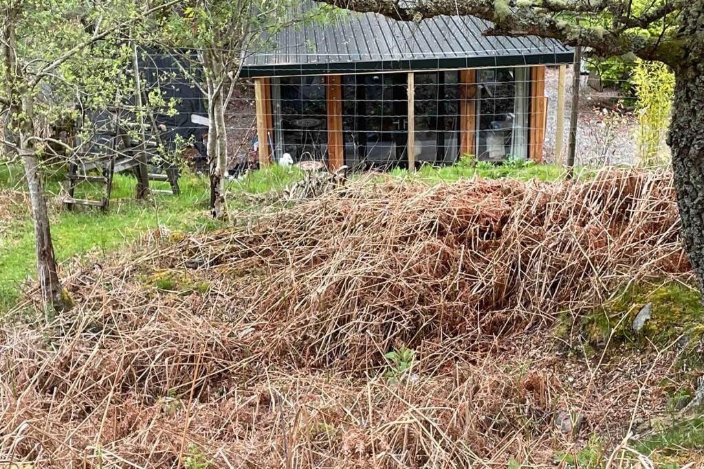 Coorie Doon Cabin! Great Scottish Welcome Форт-Огастус Екстер'єр фото
