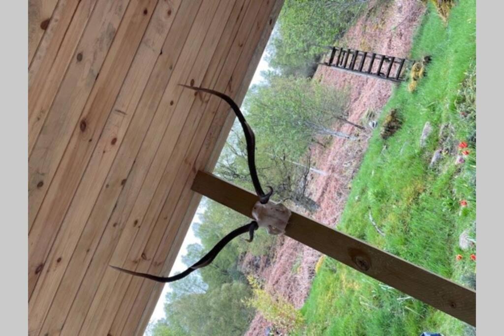 Coorie Doon Cabin! Great Scottish Welcome Форт-Огастус Екстер'єр фото