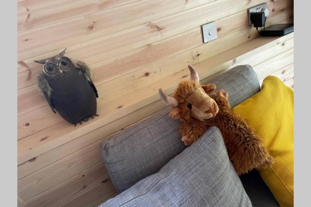Coorie Doon Cabin! Great Scottish Welcome Форт-Огастус Екстер'єр фото