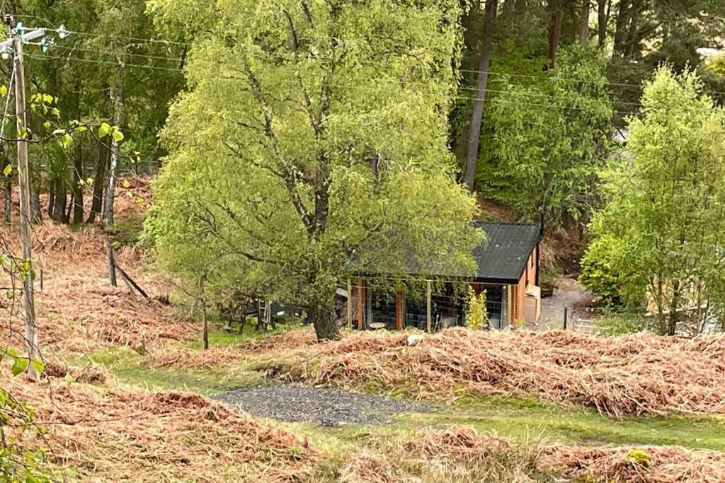 Coorie Doon Cabin! Great Scottish Welcome Форт-Огастус Екстер'єр фото